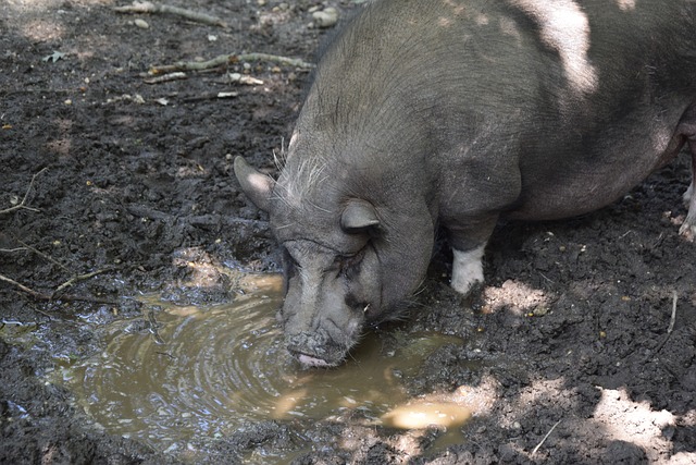 追求是何等 追求是何等