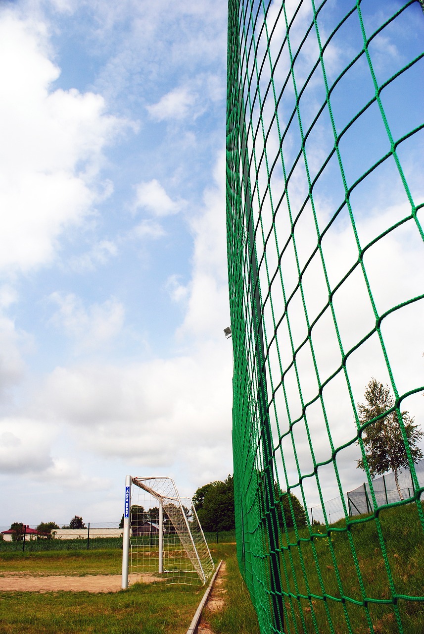 不仅反映了 不仅反映了