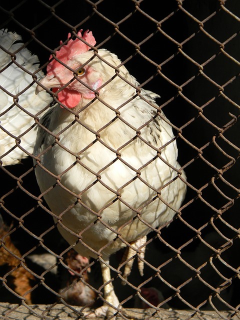 保了对球员 保了对球员