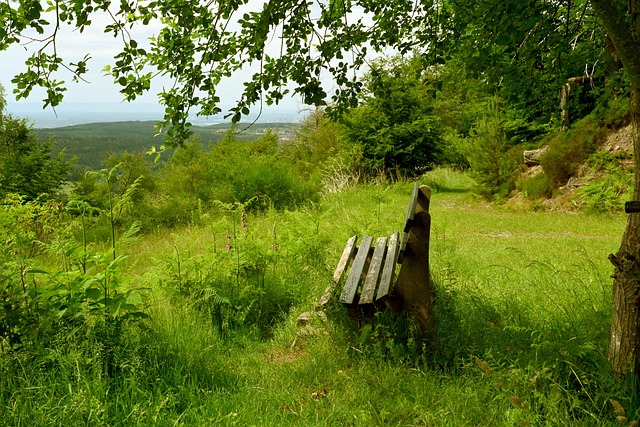 苏格兰一直 苏格兰一直