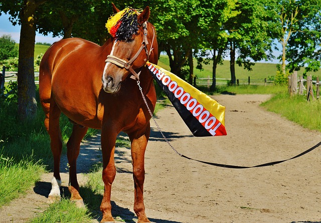 作為解決問 作為解決問