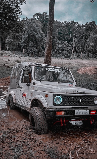 后卫之一 后卫之一