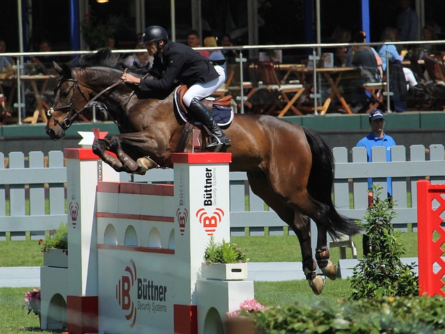 让这样的精 让这样的精